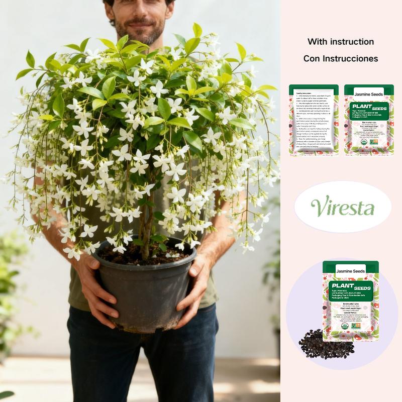100 Non-GMO Fragrant Climbing Jasmine Seeds – Nova Route
