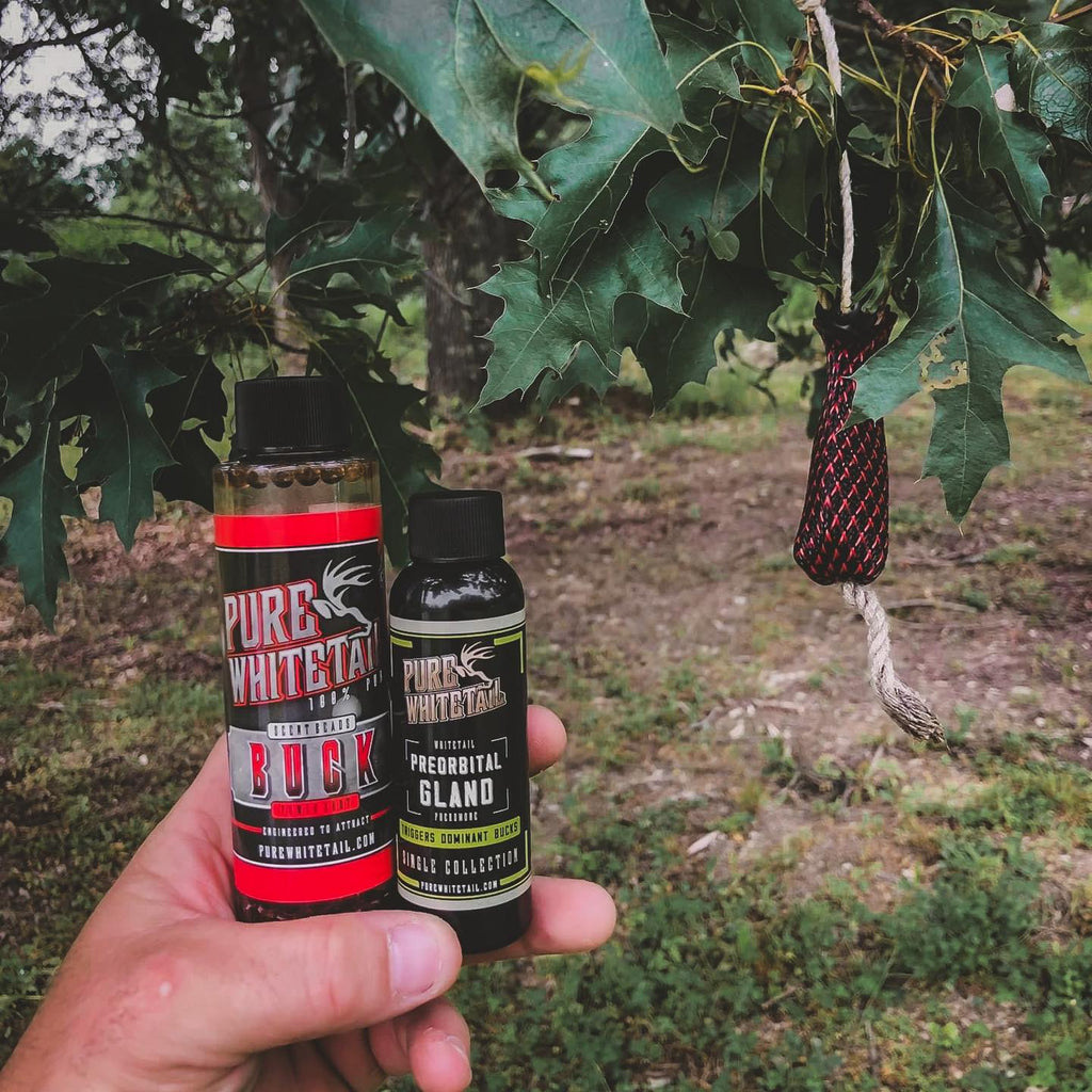 Power Shot Buck | 5 Pack